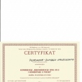 Powiększ obraz: certificate 6