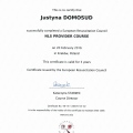 Powiększ obraz: certificate 3