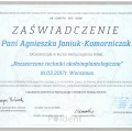 Powiększ obraz: certificate 1