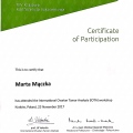 Powiększ obraz: certificate 4