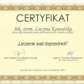 Powiększ obraz: certificate 23