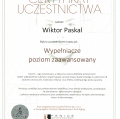 Powiększ obraz: certificate 21