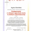 Powiększ obraz: certificate 40