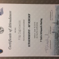 Powiększ obraz: certificate 31
