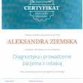 Powiększ obraz: certificate 5