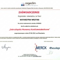 Powiększ obraz: certificate 1