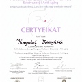 Powiększ obraz: certificate 7