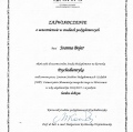 Powiększ obraz: certificate 2