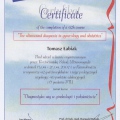 Powiększ obraz: certificate 8