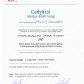 Powiększ obraz: certificate 13