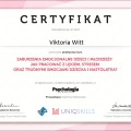 Powiększ obraz: certificate 2