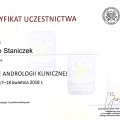 Powiększ obraz: certificate 68