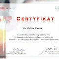Powiększ obraz: certificate 8