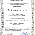 Powiększ obraz: certificate 13