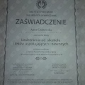 Powiększ obraz: certificate 32