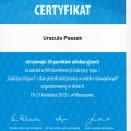 Powiększ obraz: certificate 2