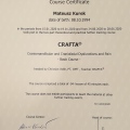 Powiększ obraz: certificate 8