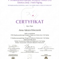 Powiększ obraz: certificate 7