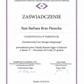 Powiększ obraz: certificate 13