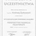 Powiększ obraz: certificate 14