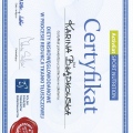 Powiększ obraz: certificate 9