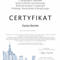 Powiększ obraz: certificate 4