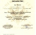Powiększ obraz: certificate 3
