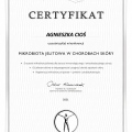 Powiększ obraz: certificate 28