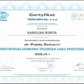Powiększ obraz: certificate 2