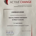 Powiększ obraz: certificate 5
