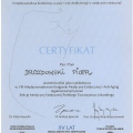 Powiększ obraz: certificate 23