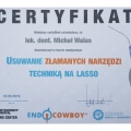 Powiększ obraz: certificate 3