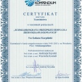 Powiększ obraz: certificate 8