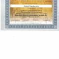 Powiększ obraz: certificate 7
