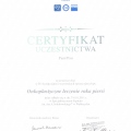 Powiększ obraz: certificate 32