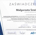 Powiększ obraz: certificate 4
