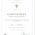 Powiększ obraz: certificate 17
