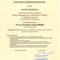 Powiększ obraz: certificate 8