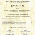 Powiększ obraz: certificate 10