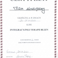Powiększ obraz: certificate 8