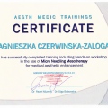 Powiększ obraz: certificate 6