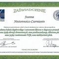 Powiększ obraz: certificate 13