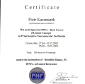 Powiększ obraz: certificate 1