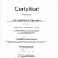 Powiększ obraz: certificate 7