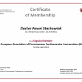 Powiększ obraz: certificate 8