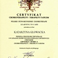 Powiększ obraz: certificate 2