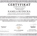 Powiększ obraz: certificate 35