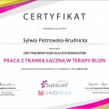 Powiększ obraz: certificate 19