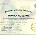 Powiększ obraz: certificate 9
