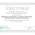 Powiększ obraz: certificate 10